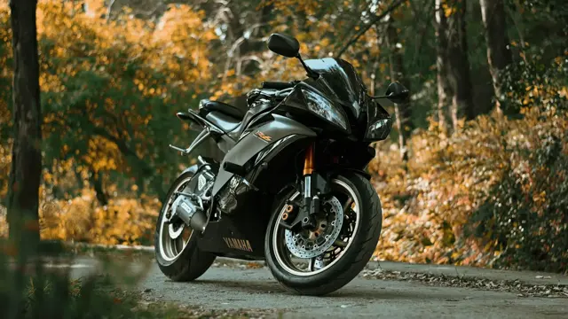 Motocicleta en una carretera arbolada